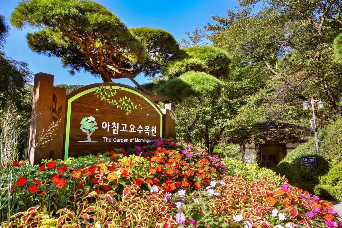 축령산아침