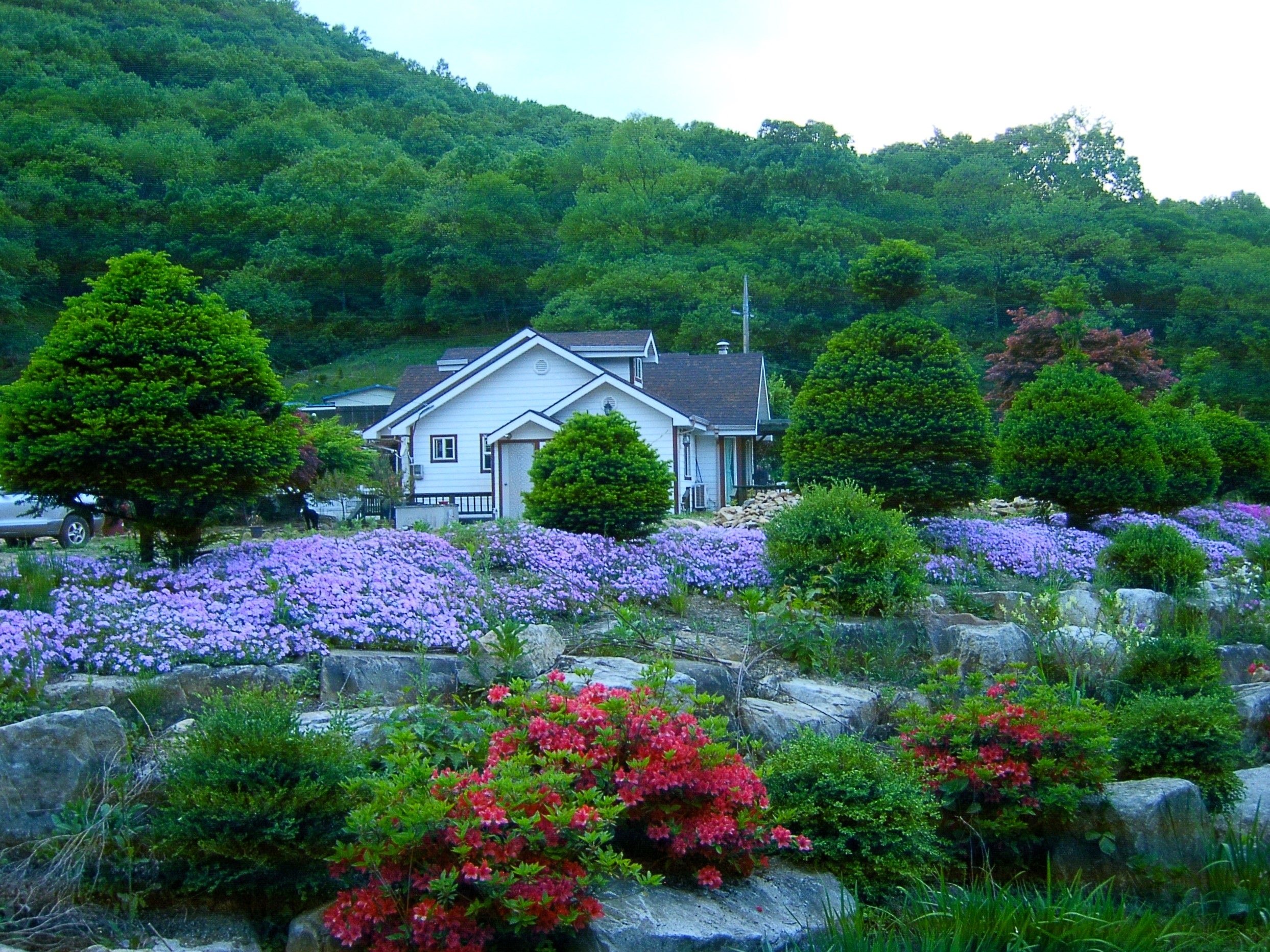 온더우드펜션