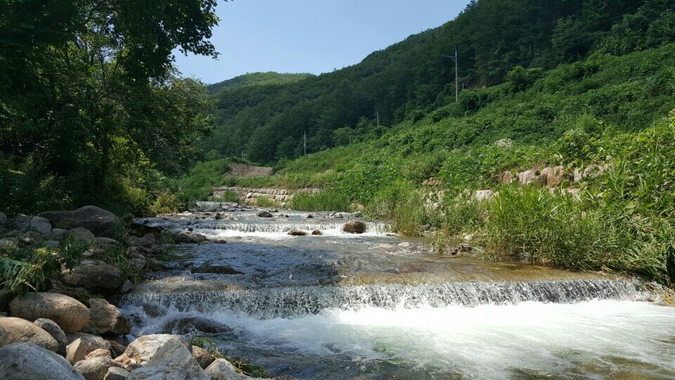 구쟁이
