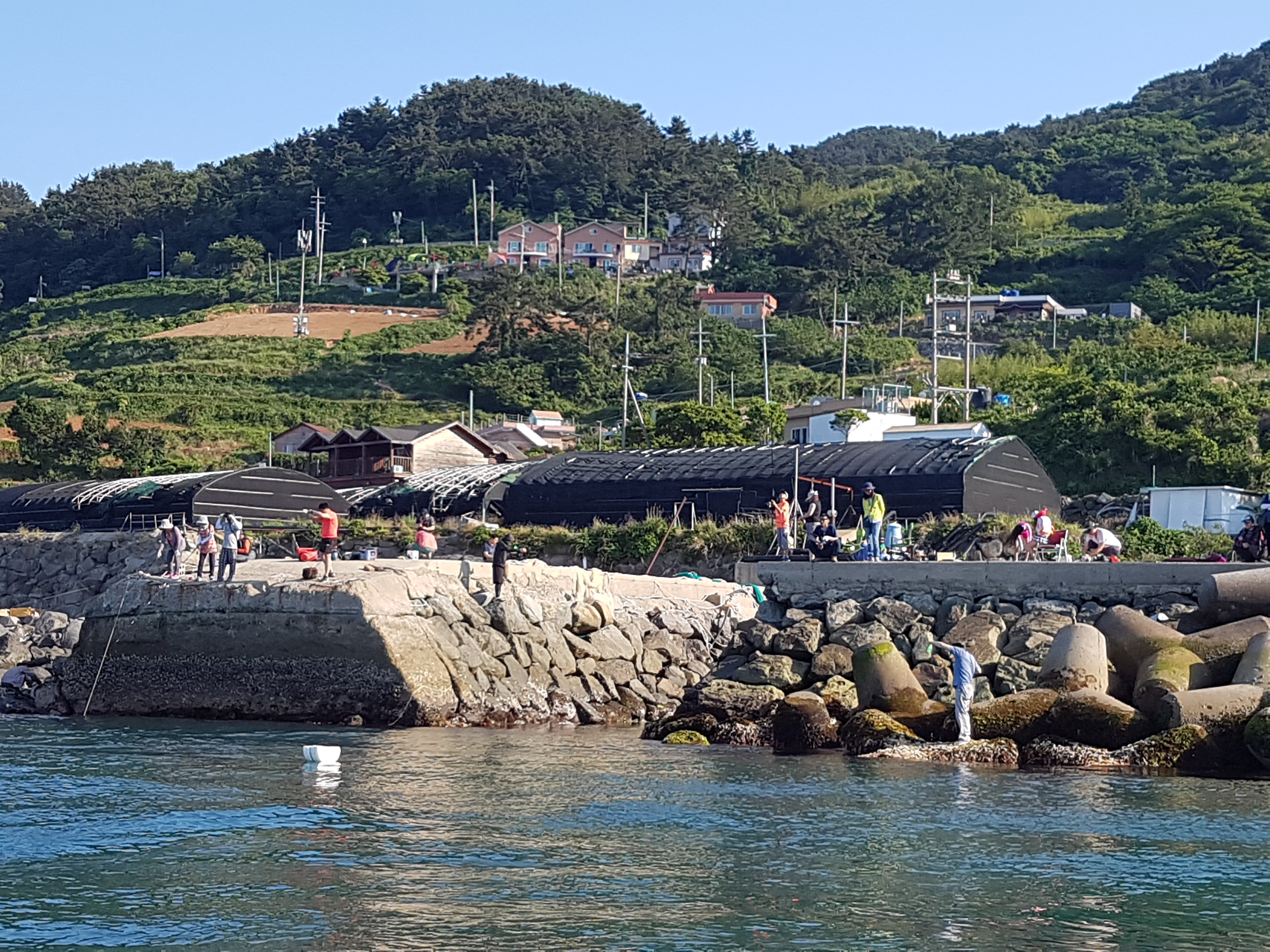 삼부자펜션