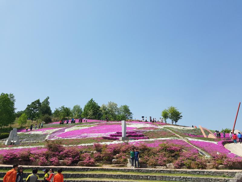 숲속맑은꼴